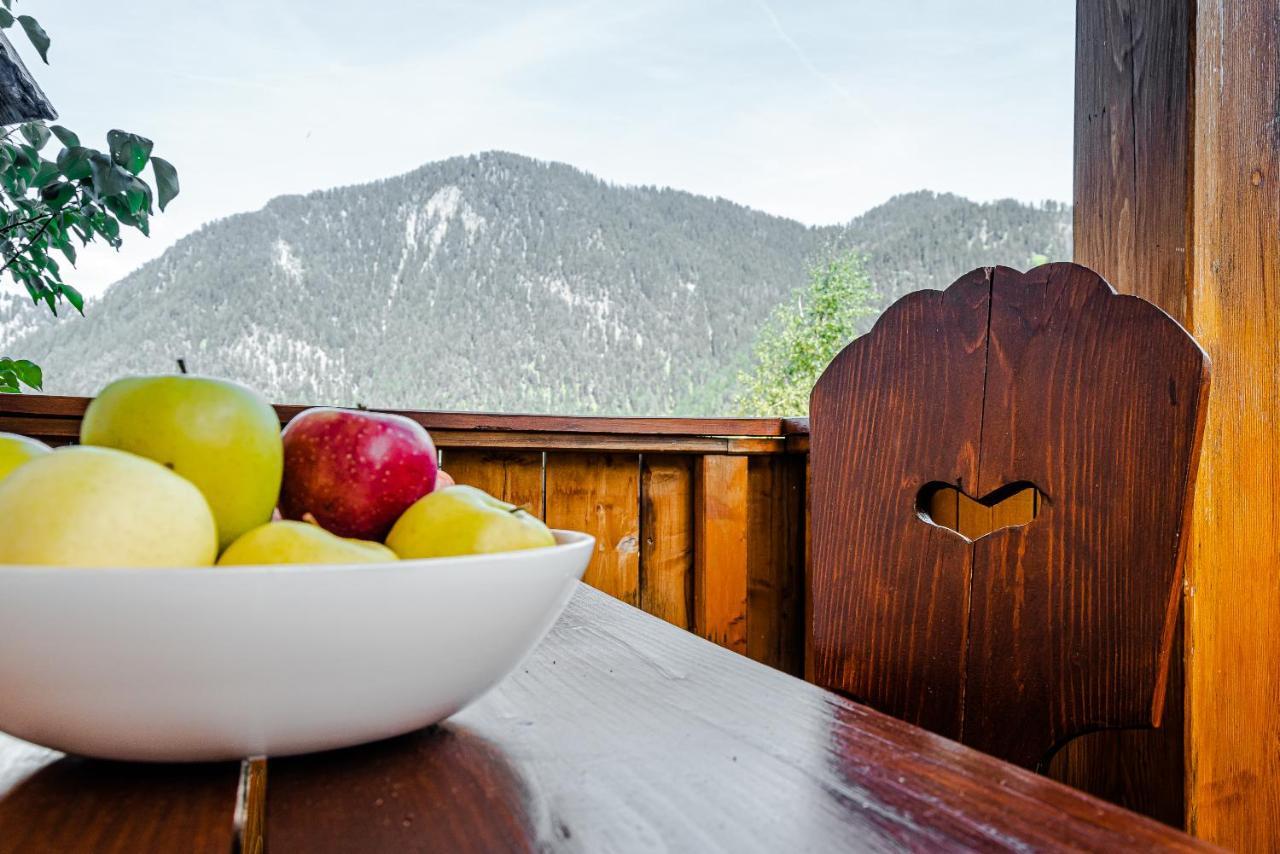 סן מרטינו אין באדיה Apartment Dolomites Nest מראה חיצוני תמונה